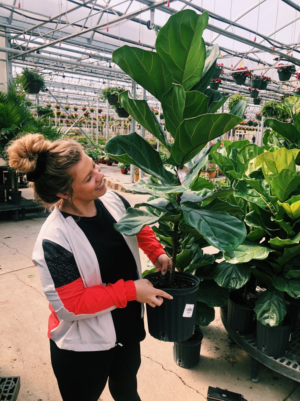 the easiest house plants to take care&nbsp;of