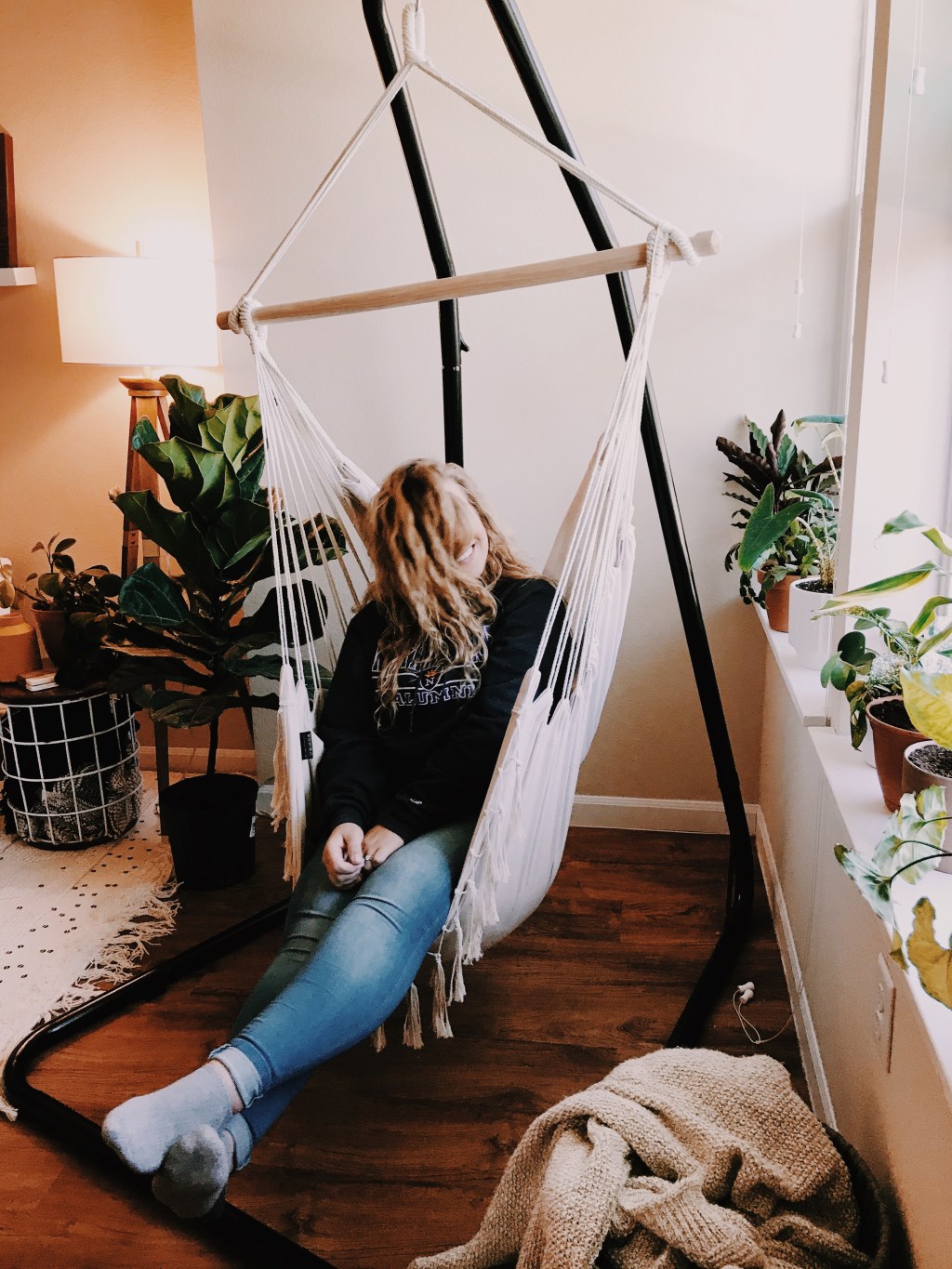 my favorite houseplants