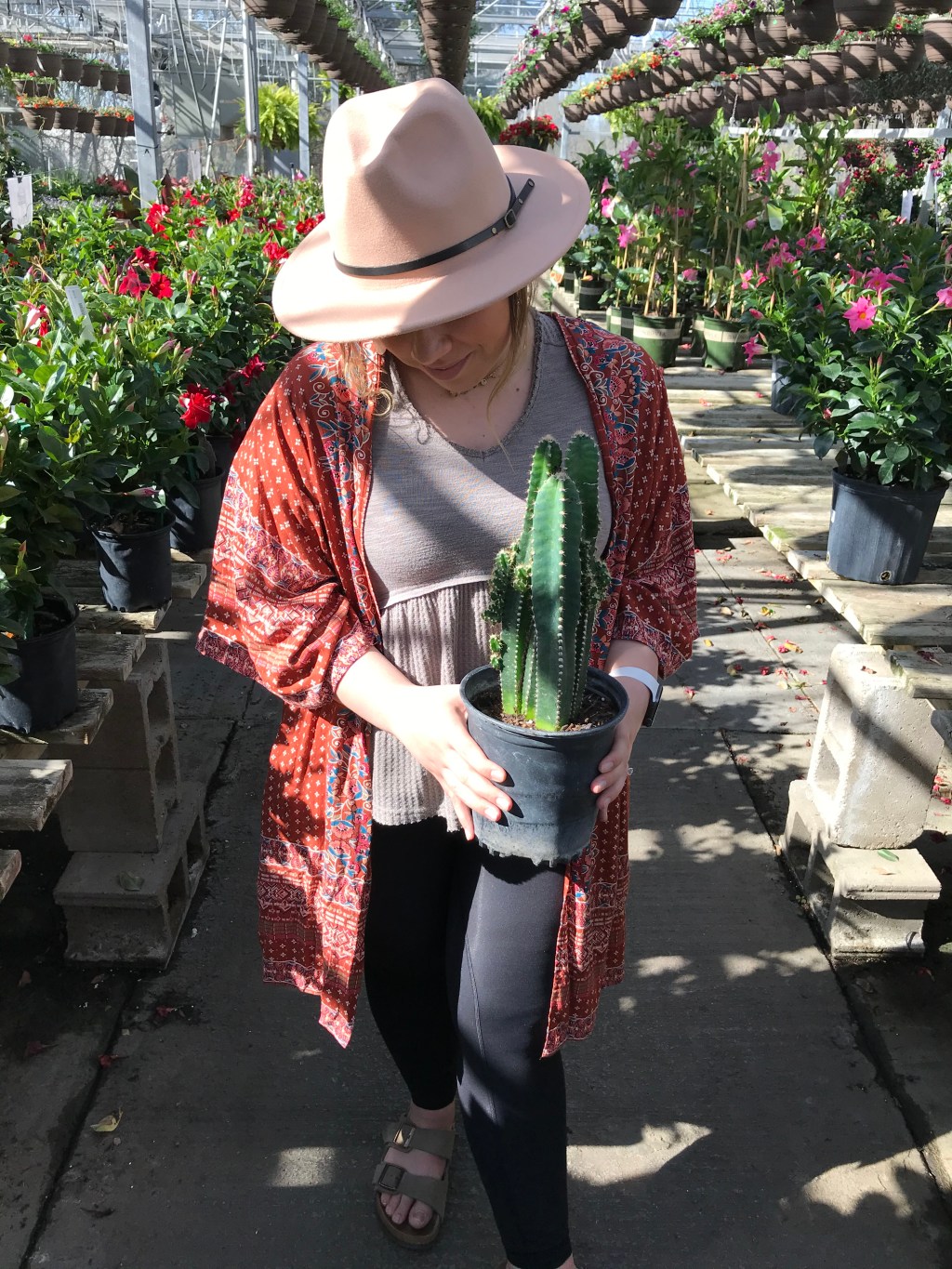 5 basic things to know about&nbsp;houseplants