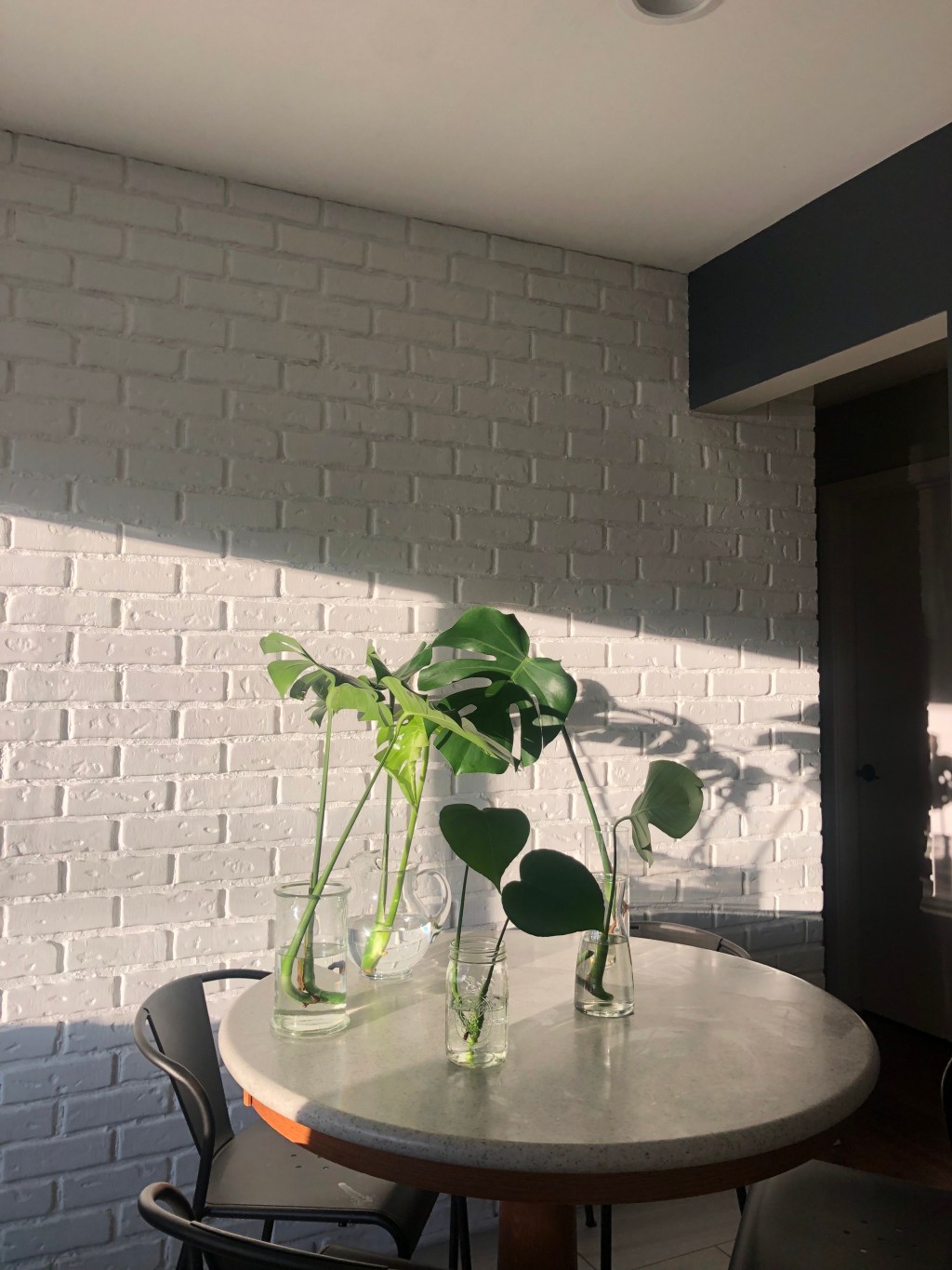 5 things on amazon that you *must*&nbsp;buy