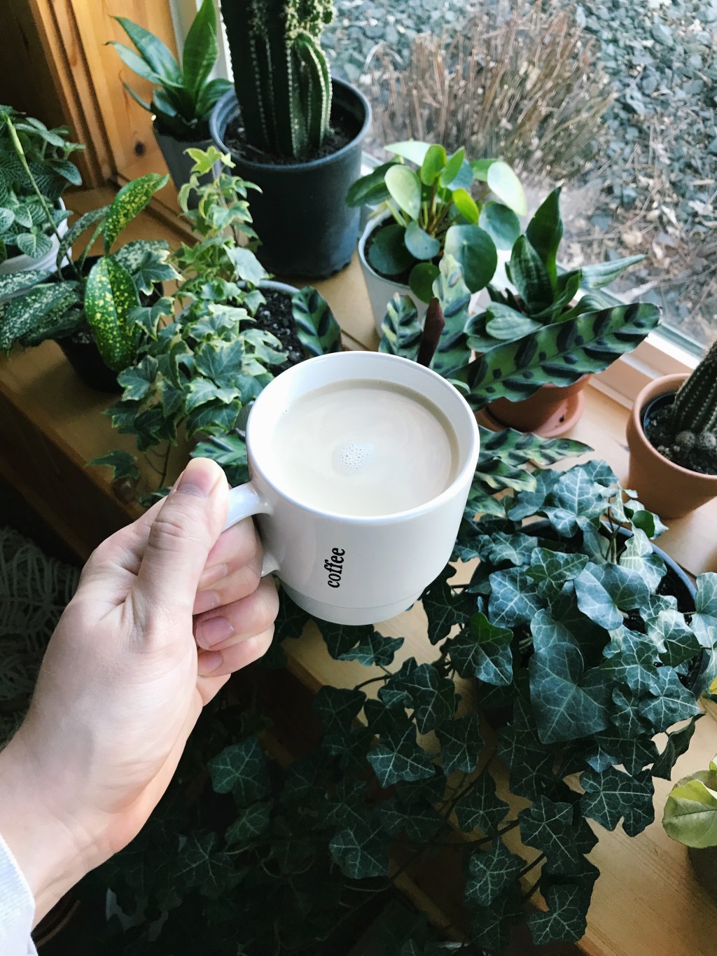 Why Growing A Plant Will Help&nbsp;YOU!