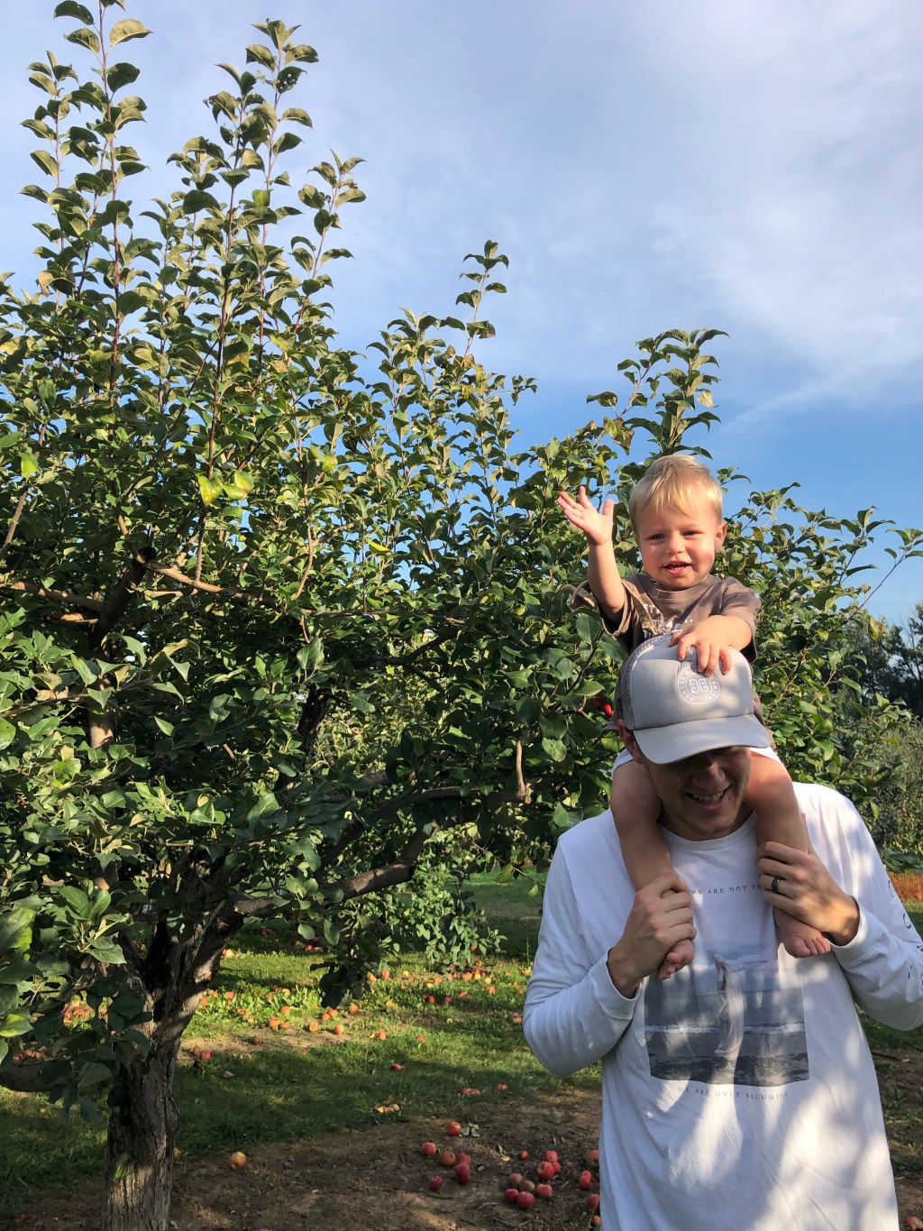 Family Fall Bucket&nbsp;List